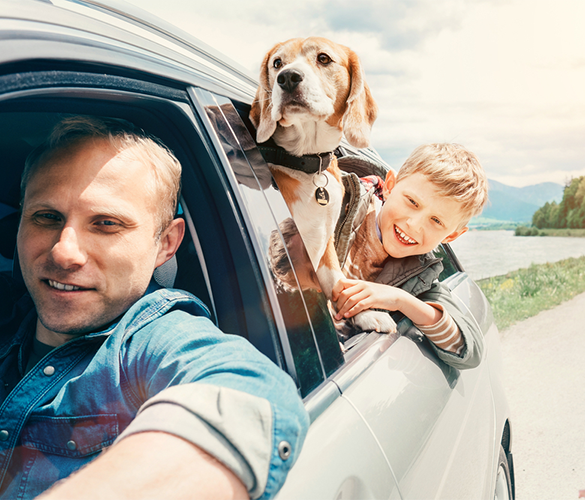 New York Auto Owners with Auto Insurance Coverage